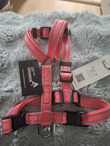 Spanker dog harness - spanker, harness.