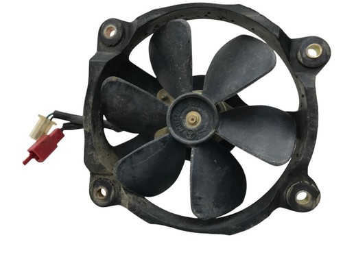 Honda rtl 250 - 250, fan
