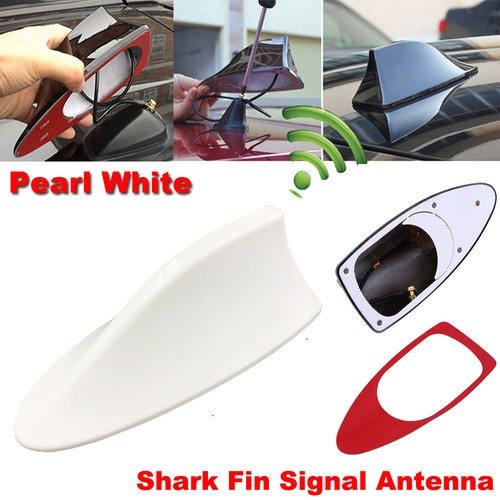 Pearl white car shark - car, fin