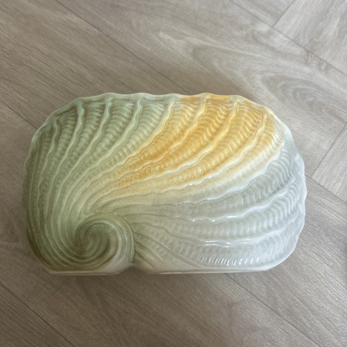 Vintage vase nautilus shell - vase,