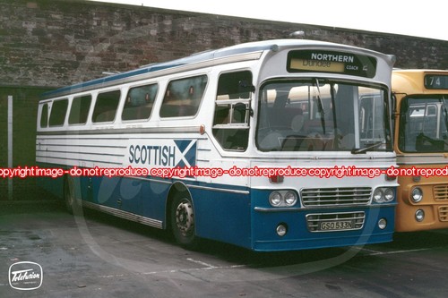 Coach photo northern - photo,