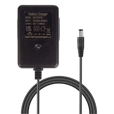 12V 1000mA Battery Charger for
