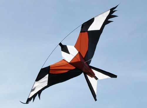 Red hawk kite kits - kits,, bird