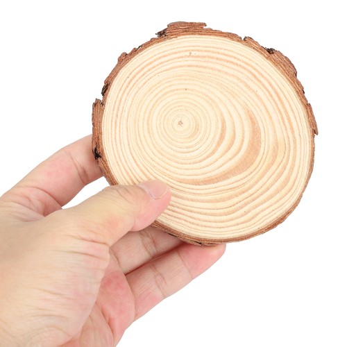 Natural wood slices - wood,
