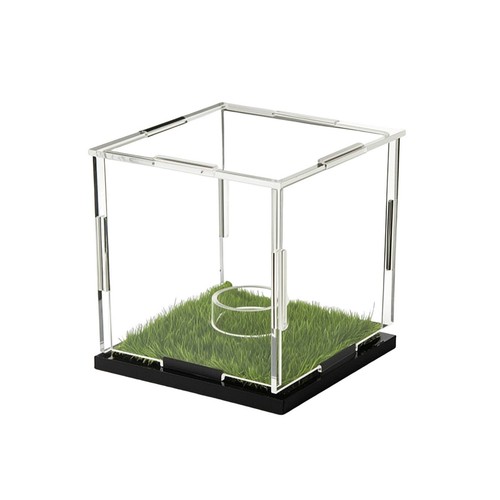 Display case with turf - display, base