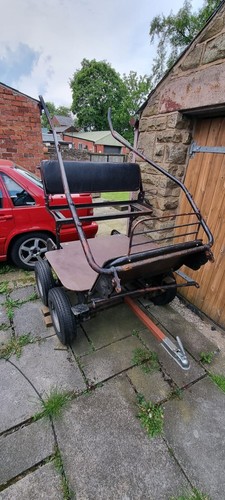 Horse cart - horse,
