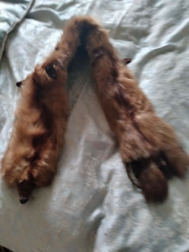 Vintage mink stole - mink,