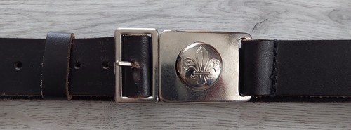 Belt scout assn - assn, approved