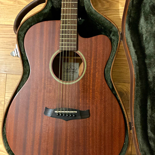 Tanglewood tw130 asm - tanglewood,