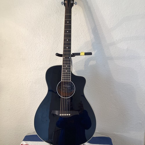 Vintage guitar dam - vintage, vec