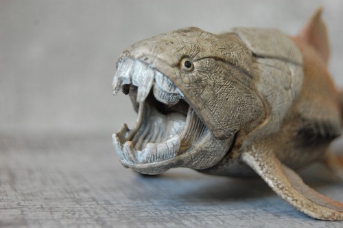 Schleich dunkleosteus figure - dunkleosteus,