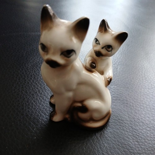 Siamese cat and kitten seated - siamese,
