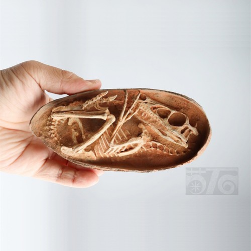 Velociraptor dinosaur egg - dinosaur,