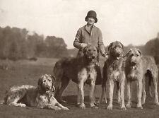 IRISH WOLFHOUND CHARMING DOG GREETINGS NOTE CARD LADY STANDING WITH FOUR DOGS