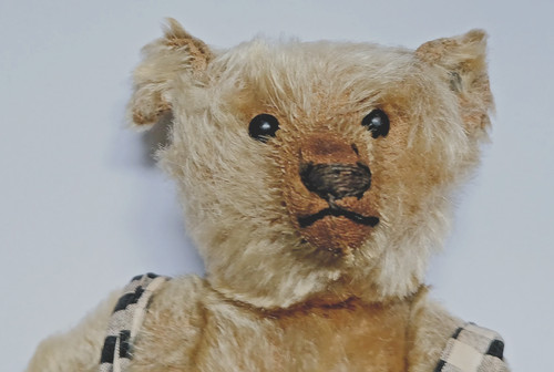 Vintage steiff teddy bear - steiff,