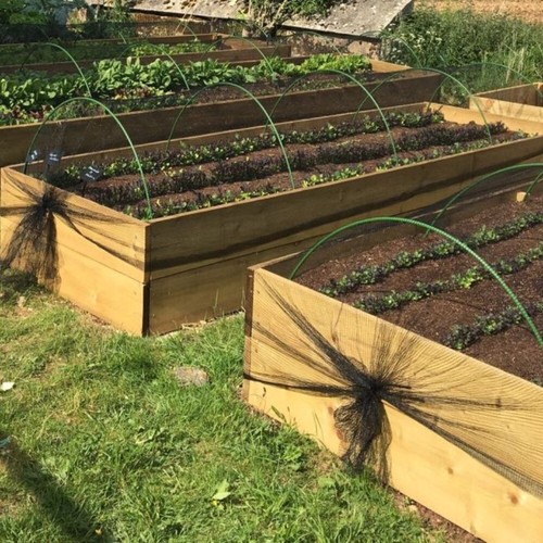 Green garden hoops cloche veg - green,