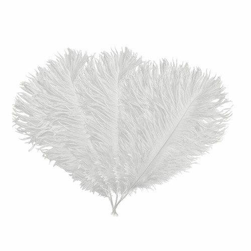 Ostrich feathers fly 60cm - ostrich,