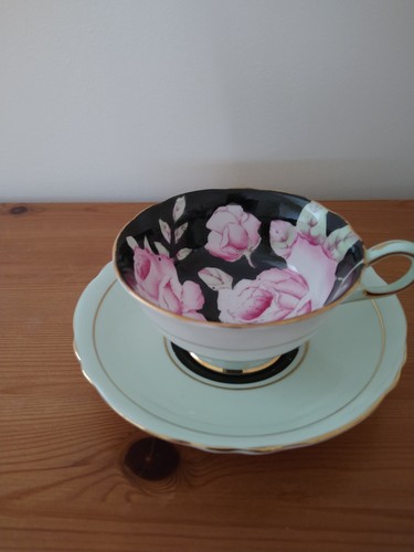 Paragon black rose - paragon, and