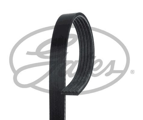 Gates 5pk788 ribbed - gates, v-ribbed