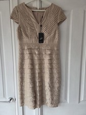 Adrianna Papell Shimmer