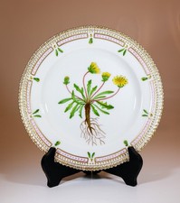 Plate 3573 - Flora Danica -
