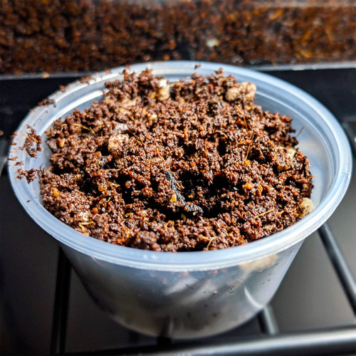 Bioactive spring tail soil - bioactive,