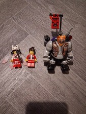 Rare Lego Ninjago Minifigure