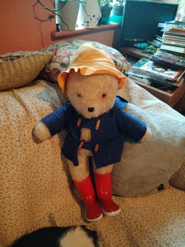 Vintage paddington bear - vintage,