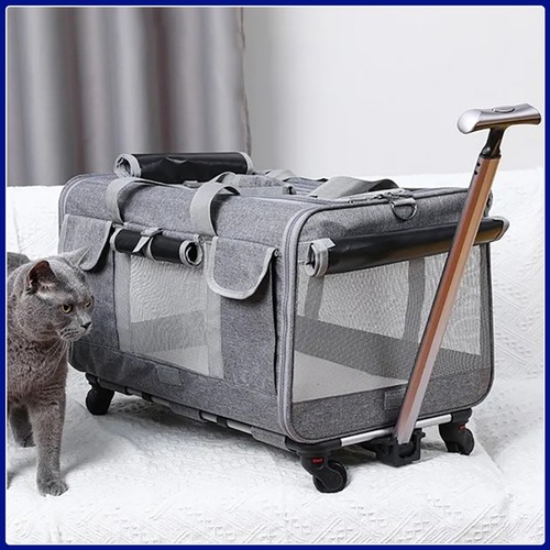 Pet carrier with - with, wheels