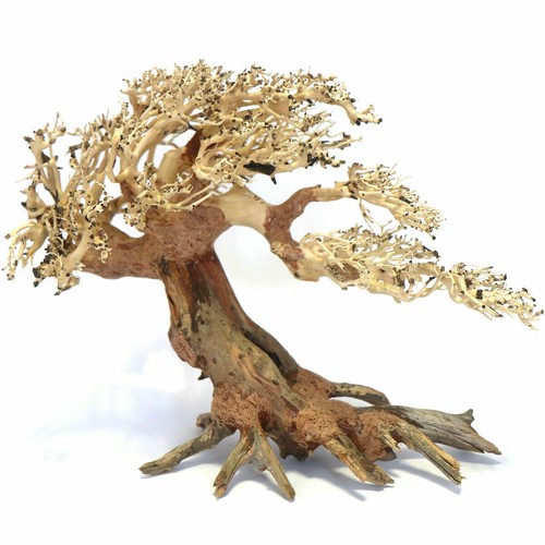 Bonsai trees wood hand picked - hand,