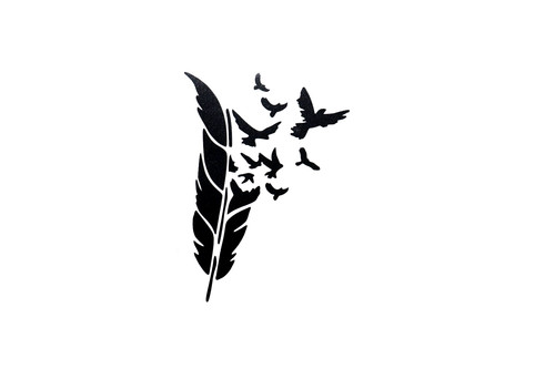 Feather eagle birds car - feather,
