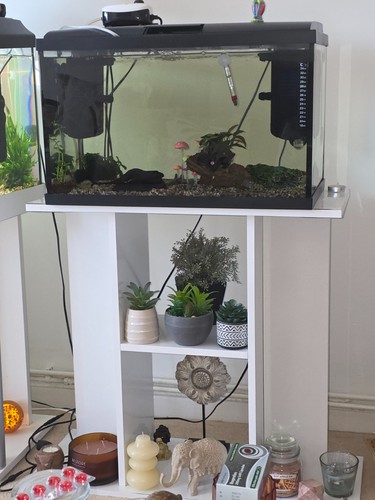 Litre aquarium tank - litre, with