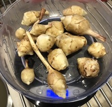 Early Dwarf Sunray Organic