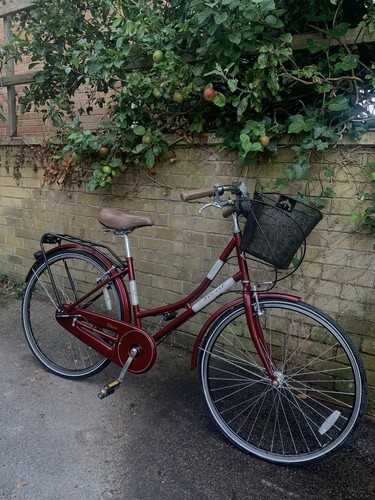 Ladies retro bike - ladies,