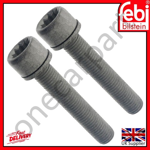 Rear brake caliper carrier - 2,