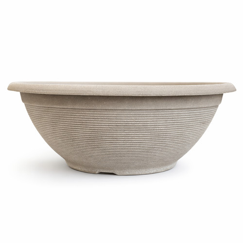 43cm beige grey bowl plant - 43cm,