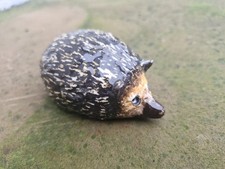 Rare Winstanley Hedgehog