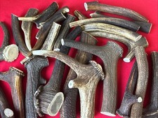 Two Pieces of Natural Deer Antlers,  (XS,S,M,L,XL,XXL,HUGE, SUPER HUGE)