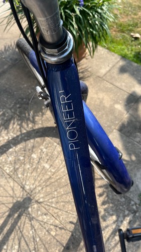 Raleigh pioneer women bike - raleigh,