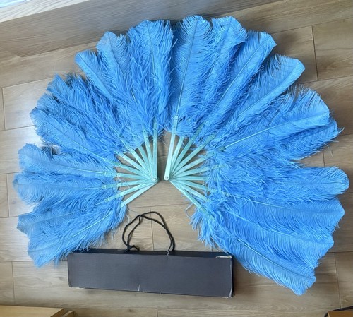 Pair blue ostrich feather - pair,