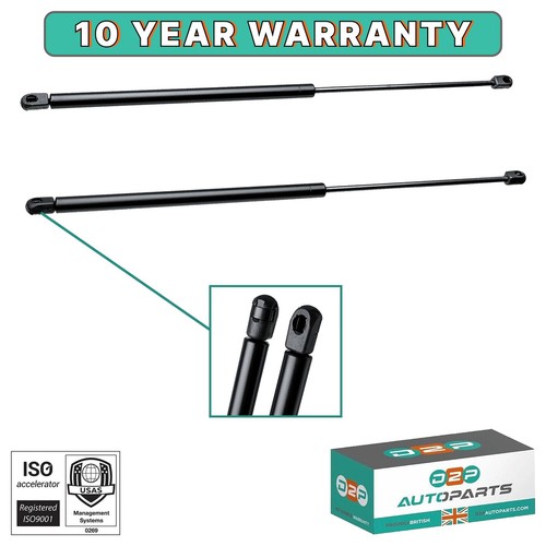 Tailgate boot gas - gas, struts