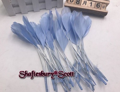 Long light blue stripped - long,