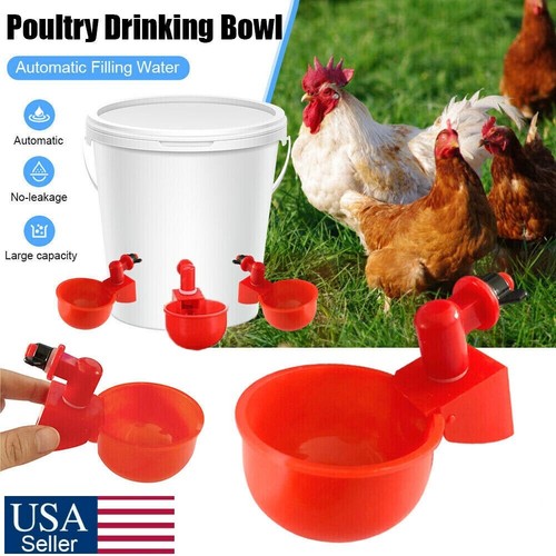6pcs automatic poultry - 6pcs,
