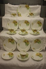 60  NB1266 Vintage Shelley