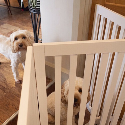 Pet panels folding gate - folding,