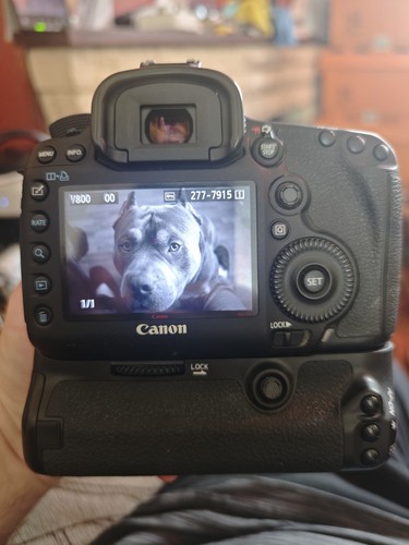 Canon mark iii camera - camera,