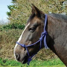 Rope Halter/Headcollar Natural