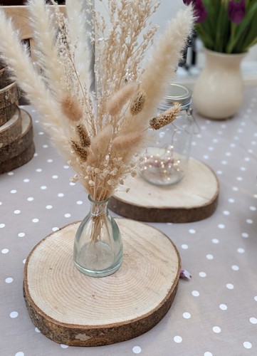 Natural wood tree - wood, slices