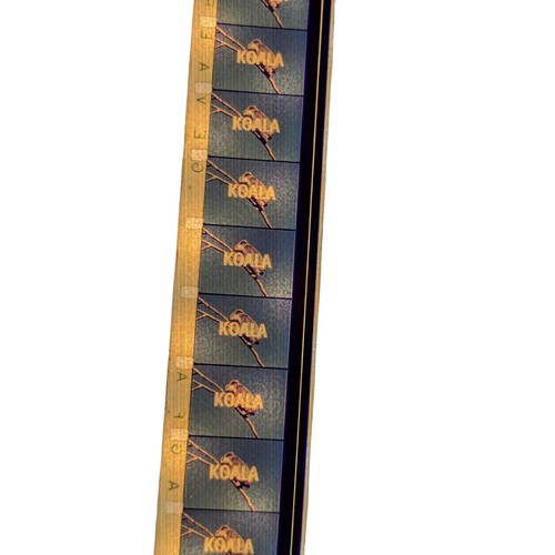 16mm movie koala harold - by, j