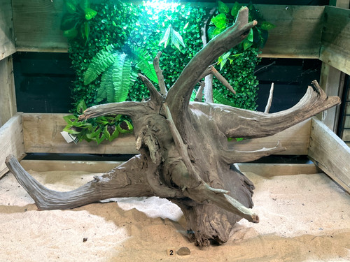 Large corbo root aquarium - large,